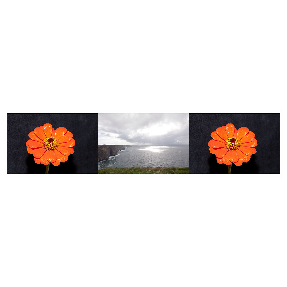 FILETI_COMPOSITE_0500_0500_0500_INSTA_PRINTED
