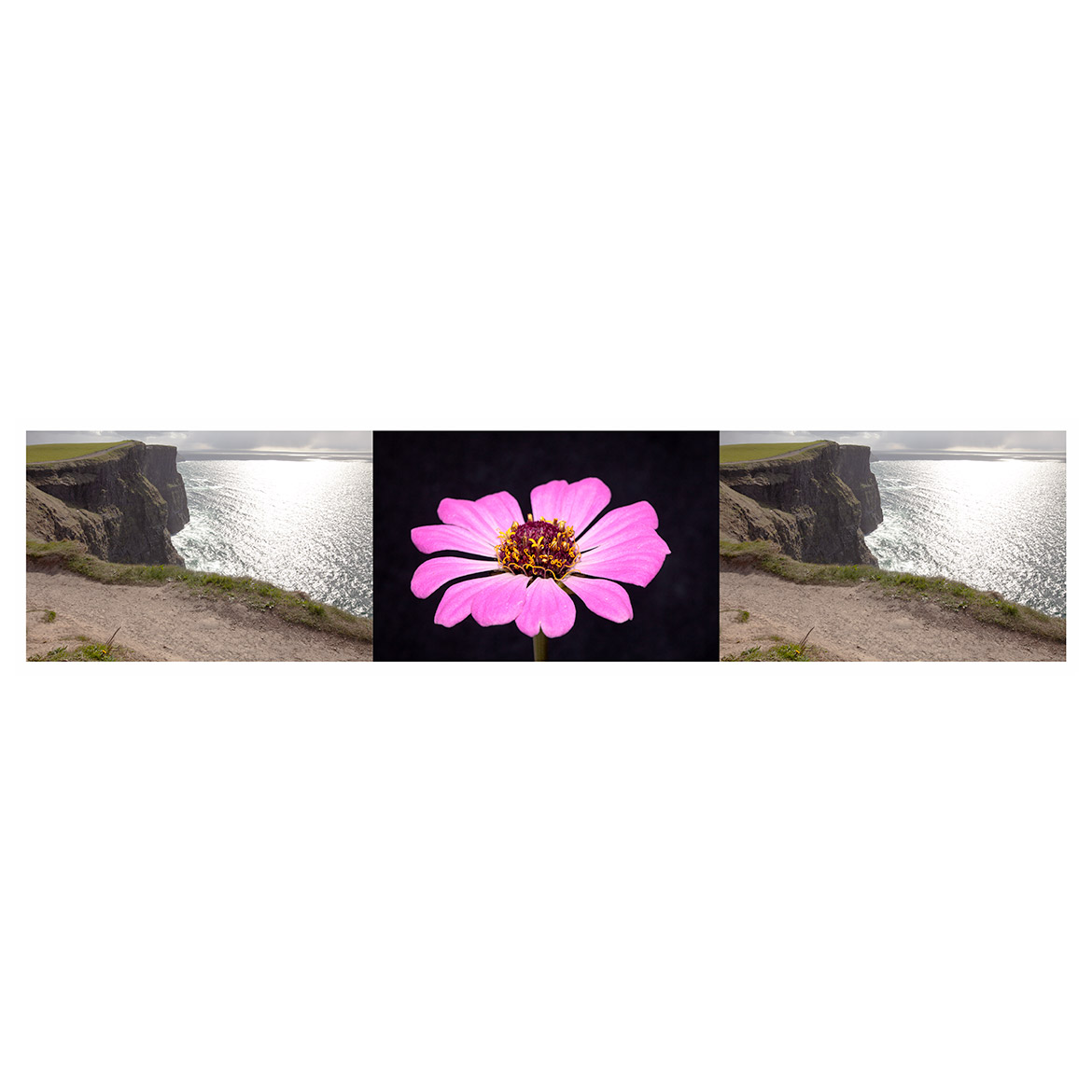 FILETI_COMPOSITE_0525_0525_0525_INSTA_PRINTED