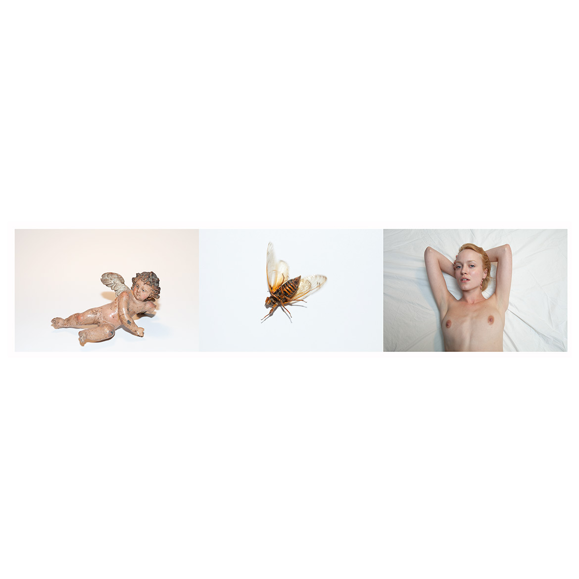 FILETI_COMPOSITE_3140_3140_3142_INSTA_PRINTED