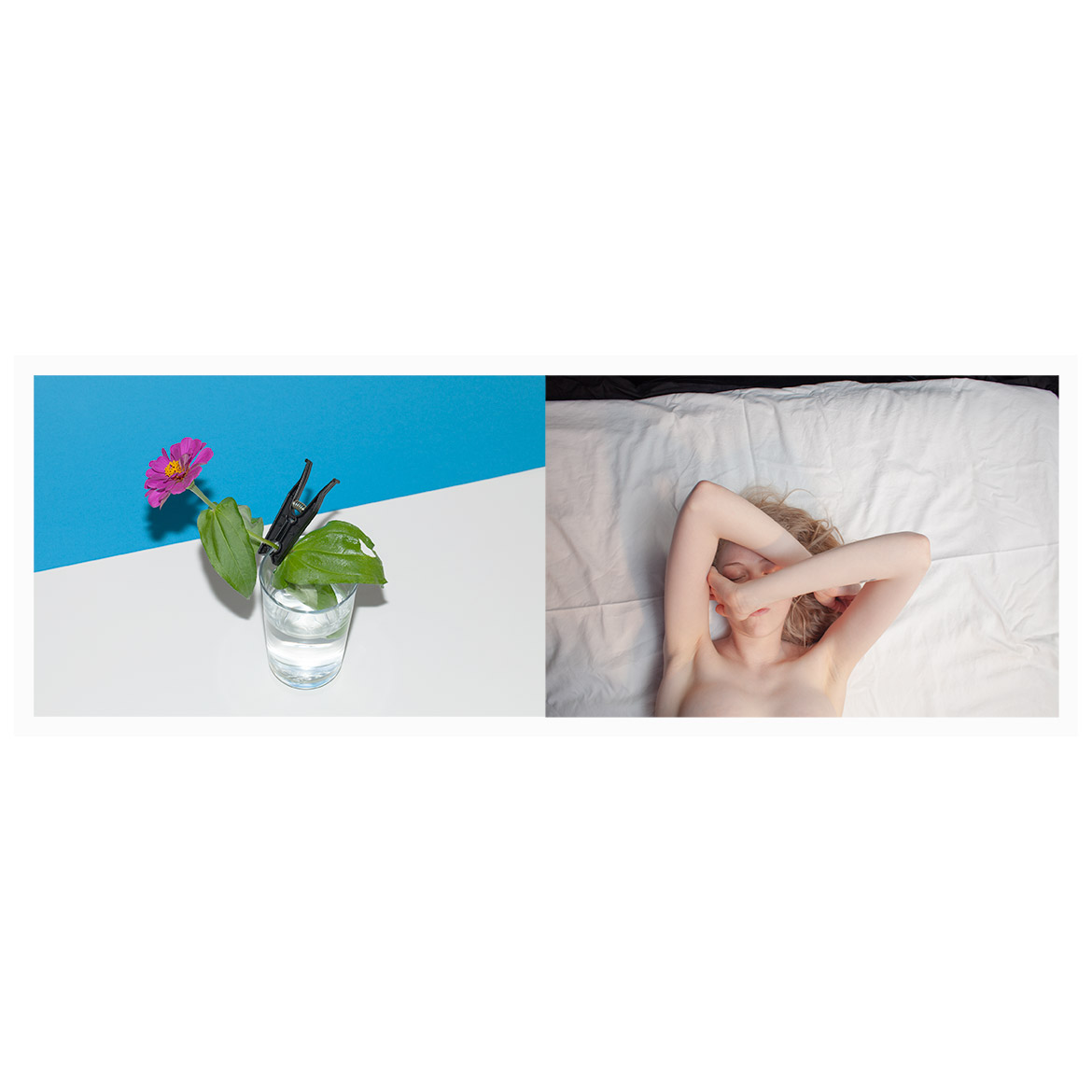 FILETI_COMPOSITE_HORIZ_INSTA_89112_8912_LARGE_PRINTED