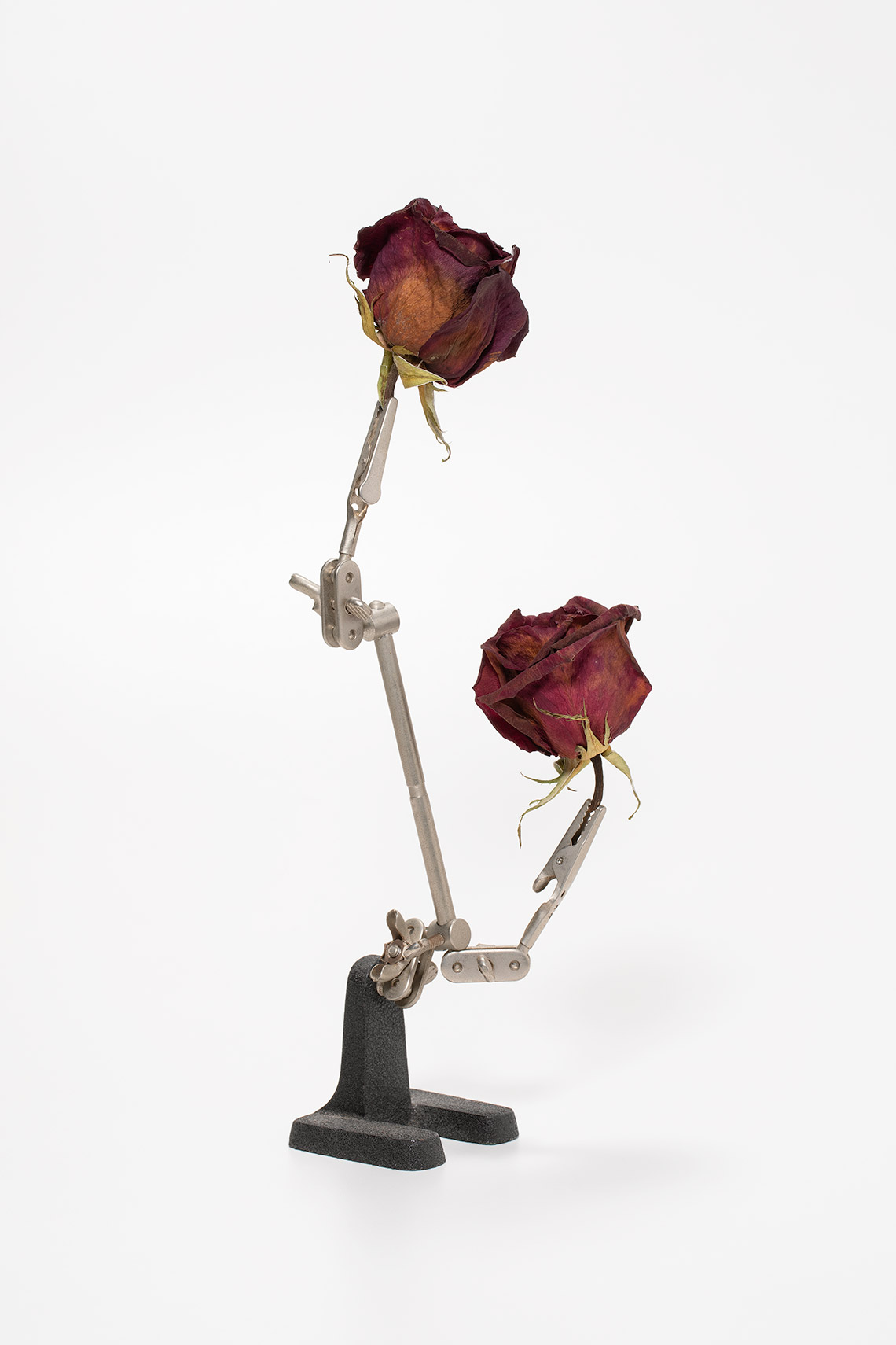 FILETI_OBJECT_FLORAL_WEB_U0A1774