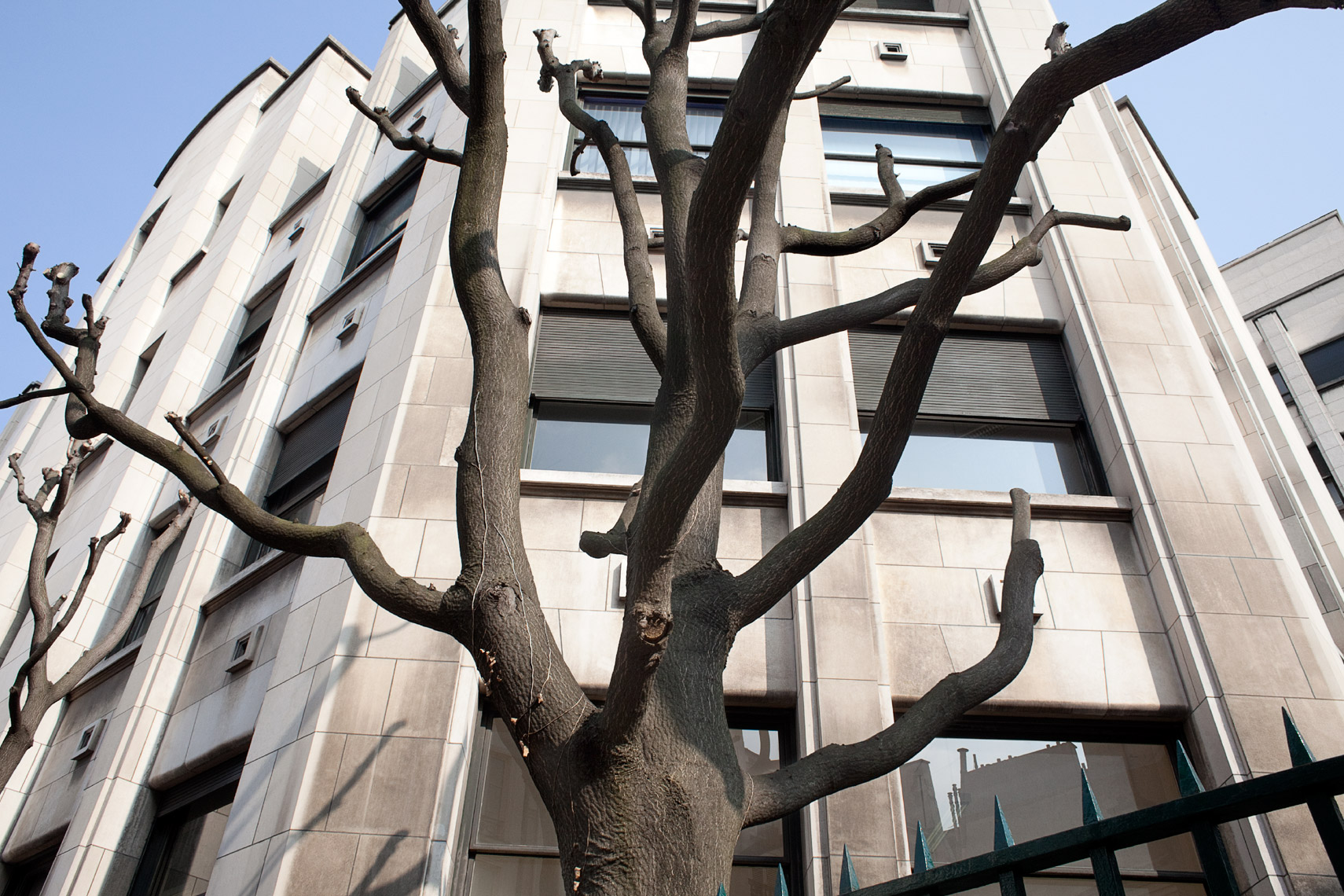 FILETI_PLACE_9875.jpg
