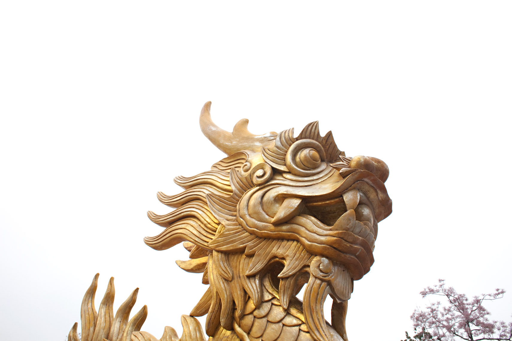 FILETI_PLACE_VIETNAM_3348